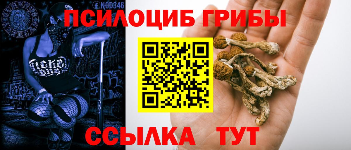 Галлюциногенные грибы ЛСД  Псилоцибиновые грибы Magic Shrooms  Вход с VPN  Шатура 